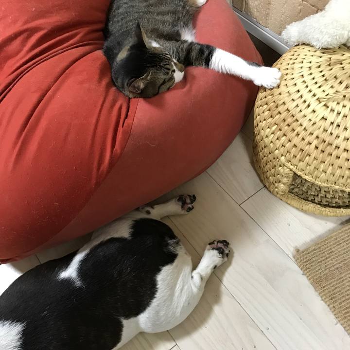 Bdeb02a2 e962 44f7 970a 34a31b09cde0