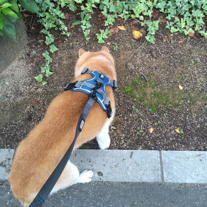 Bdeb528a afd8 42c9 81fa 669ec000bb73