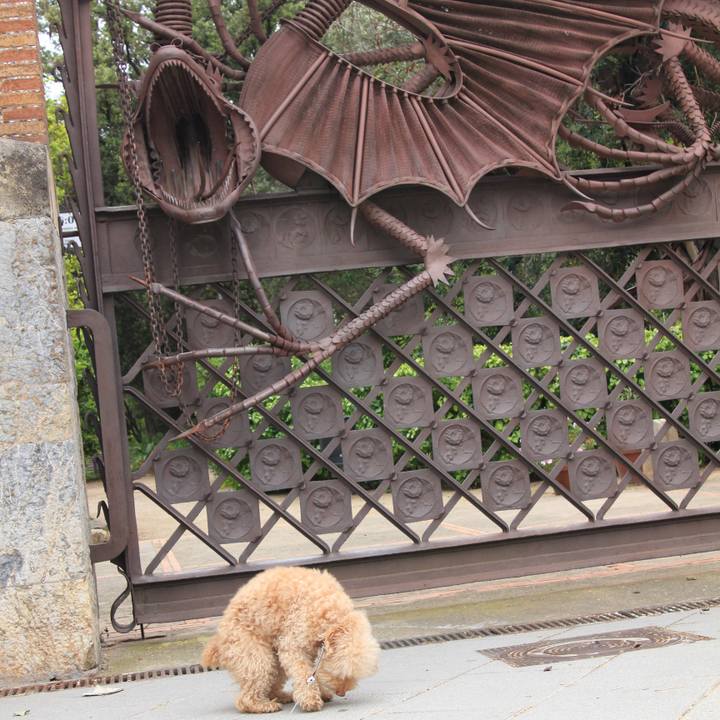 Bdebd661 b830 4e06 bc49 278cebc319d6