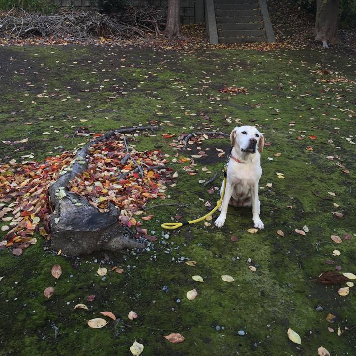 Bdebf1a3 4f88 48c9 8277 9be3f61c65d0