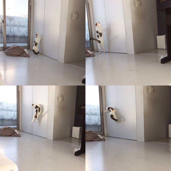 Bdecc3e9 3556 4e93 b1f5 6c659c6ba708