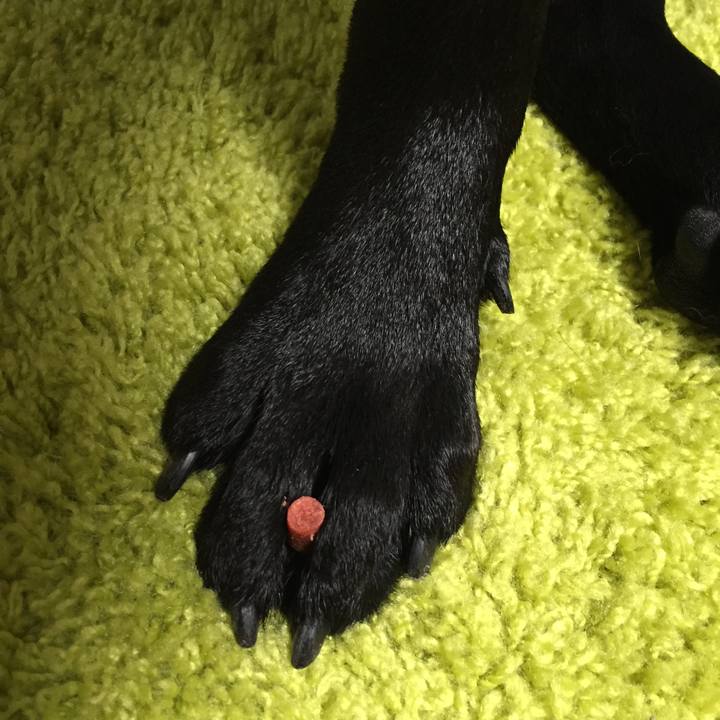 Bdedcab0 afd4 4579 8b0f 1975254ddfc2