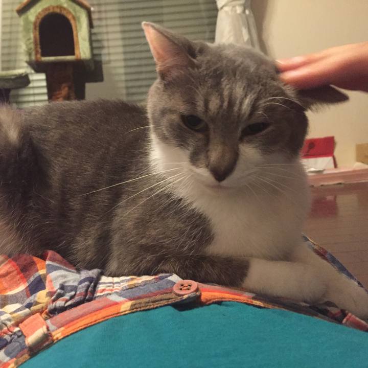 Bdee34e9 3555 442a 9efe dde7eb0a3be3