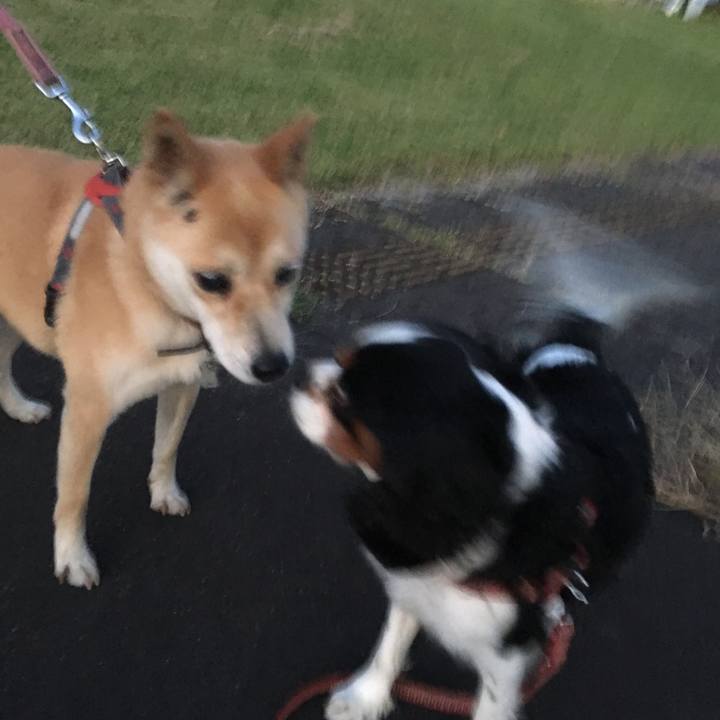 Bdeede12 dc11 461a a160 8f7e85fd0200