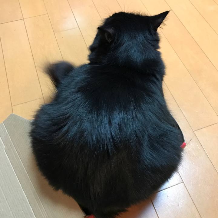 Bdeee8bb 8dc8 4927 a57c 0ad746ad7d4d