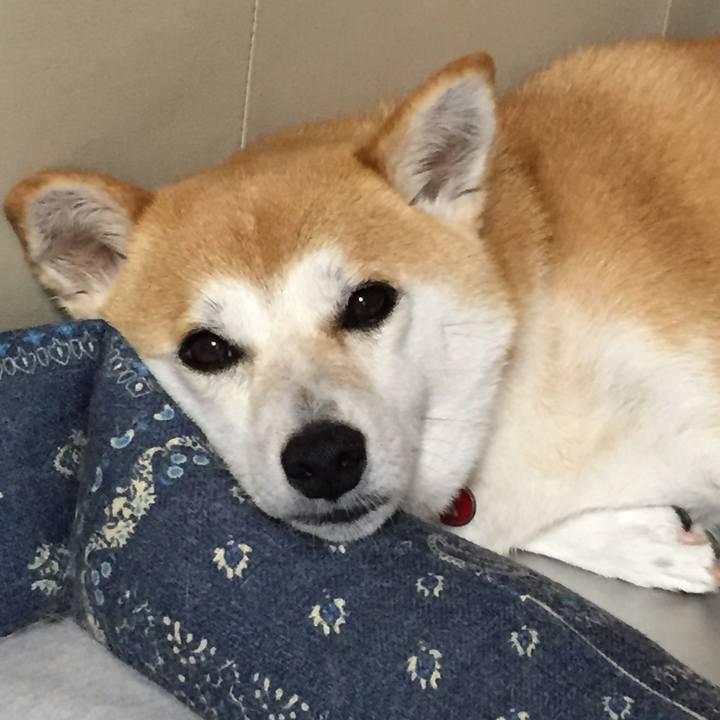 Bdef1cfa e82c 4afc 8413 9d36422d160b