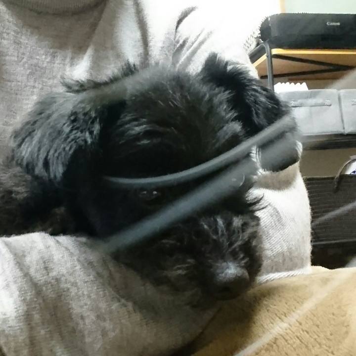 Bdef7279 d906 4b56 baa7 7b5521400de8