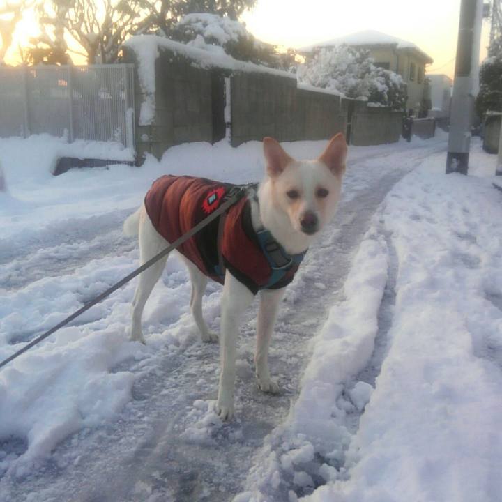 Bdf06395 5a57 4f6d b082 0718def52f0b