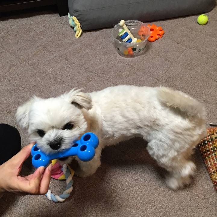 Bdf0fa6e ba0c 4600 9baa 65825cae8487