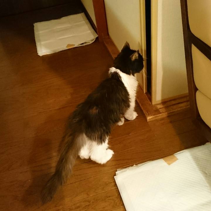 Bdf1c6b4 c999 4f1b 800e 58ad40f4ef54