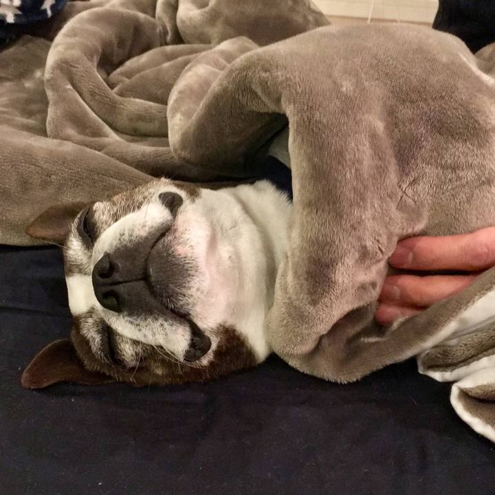 Bdf1f058 8fa4 4162 aa7c ab83b9d64e9d