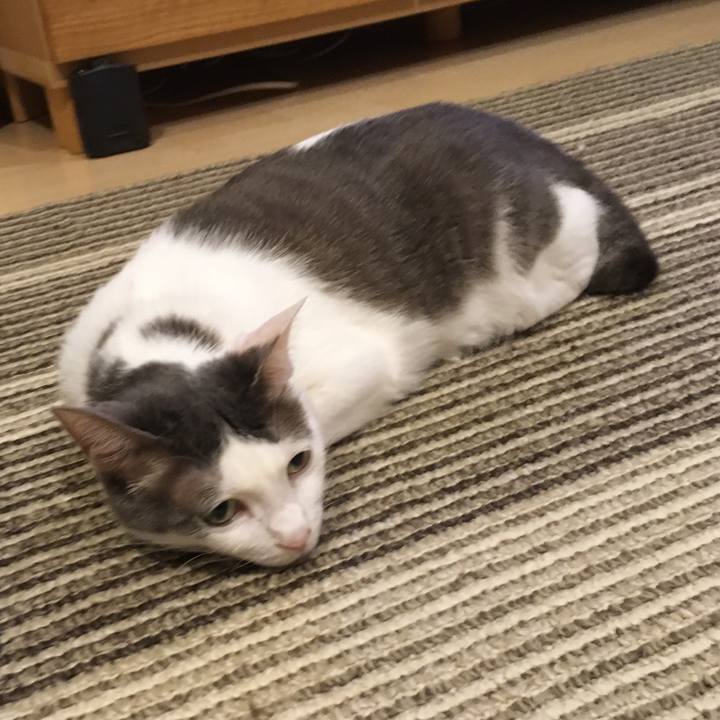 Bdf239f9 9e06 44c4 a8c2 6599f46baf17