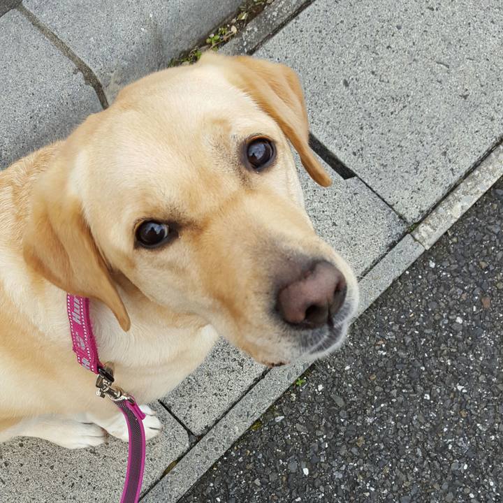 Bdf27710 f212 49ea 9ab4 3321c1aecfd5