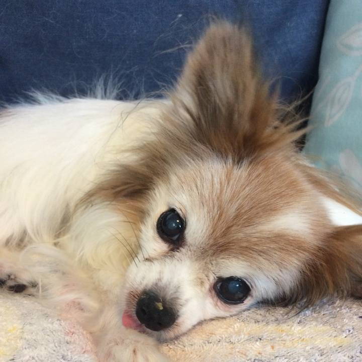 Bdf2777a 2742 4ea9 b3d7 8d1bda6228ef