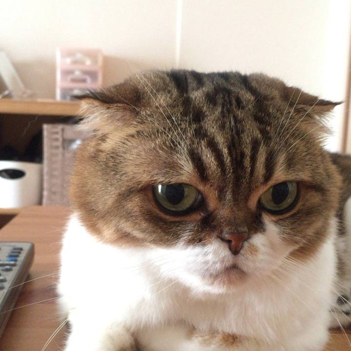 Bdf2eea6 6c47 4084 9a5c 3dd8b82f3da8