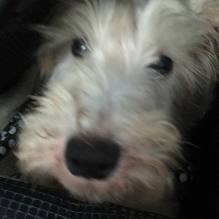 Bdf30b02 7bd9 40be 9ac7 aa3c699bc9a4