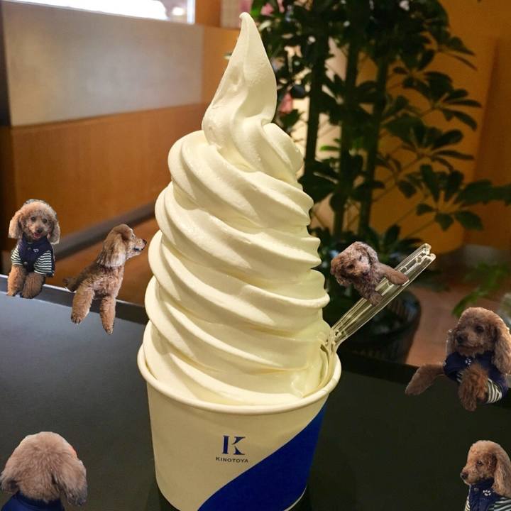 Bdf330ec 4a9e 4ded 9fa2 73cd06b93188