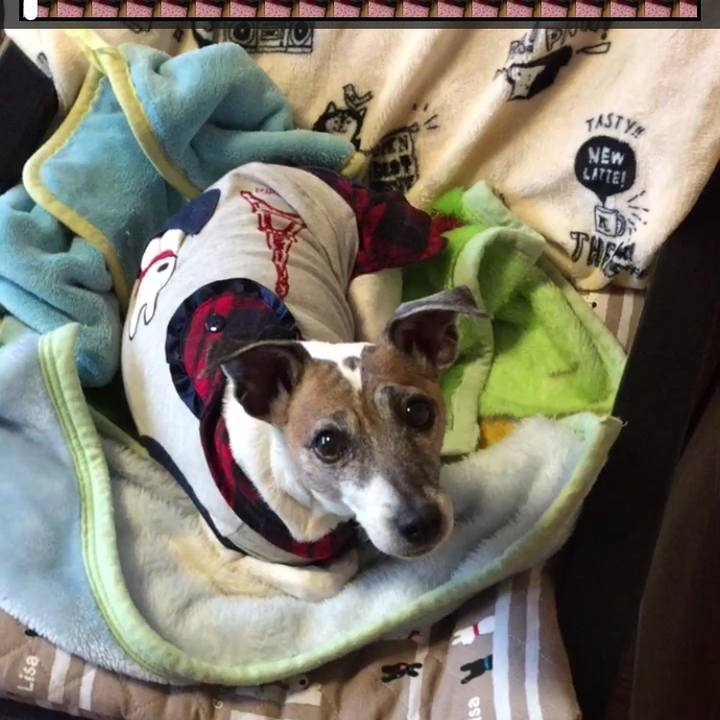 Bdf37ff9 e5eb 4ce9 92a8 fd2ac8b8abda