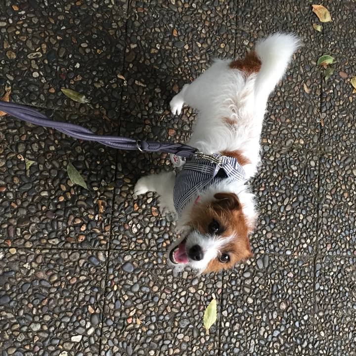 Bdf3d024 857e 4c65 8b04 9c7bf53b06de