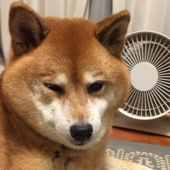 Bdf404f1 cdf8 4a03 9182 d60812f90b5a