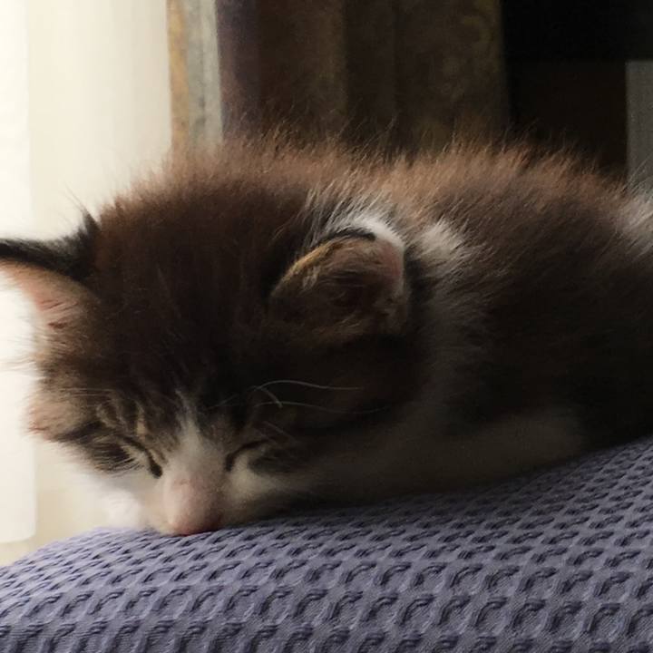 Bdf4aade d58d 4238 bf5d 42dabd9dd407