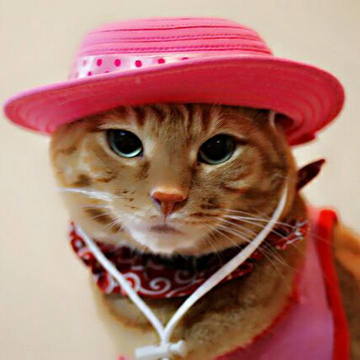 Bdf5145b 432c 41aa bf7b aaf5b8893e11