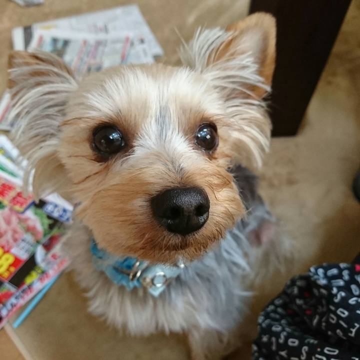 Bdf55b6f 0e98 4174 afa2 2e4d6ac22084