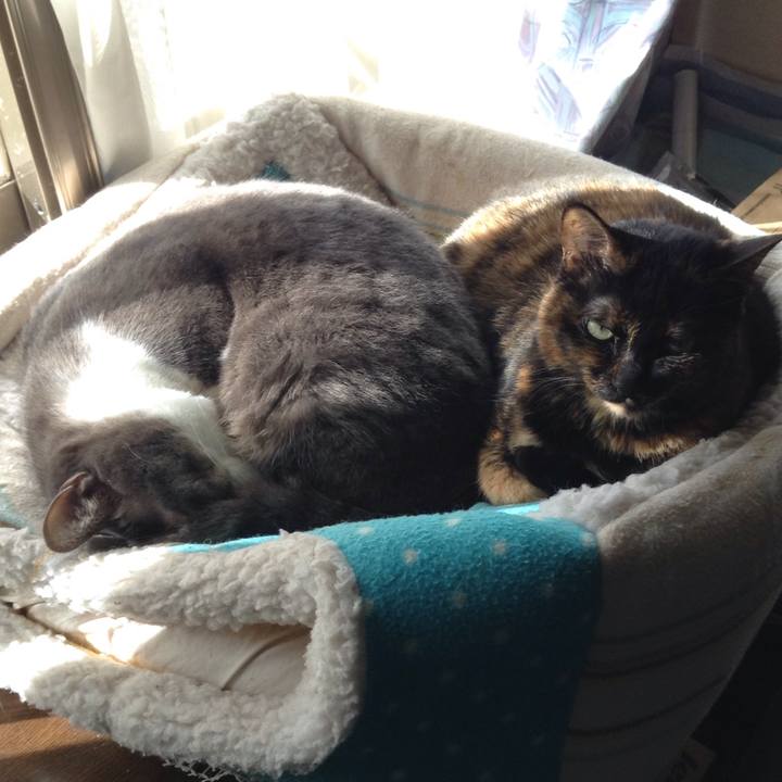 Bdf5d4c9 fe3d 43c6 ba3d fcc464253fd5