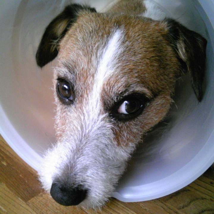 Bdf5d609 f050 4655 a765 b7a1721e2b7b