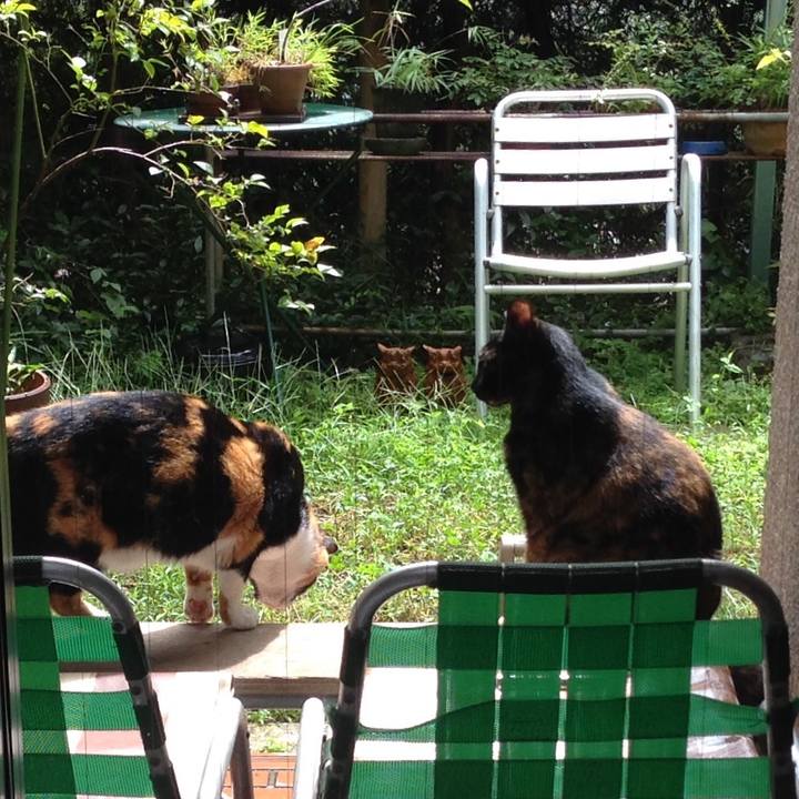 Bdf6209f 956c 4af3 9916 258e78f83fb5