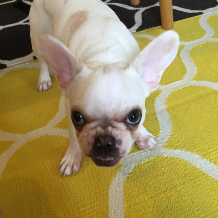 Bdf65770 eb21 4bd3 8733 953f7518d908