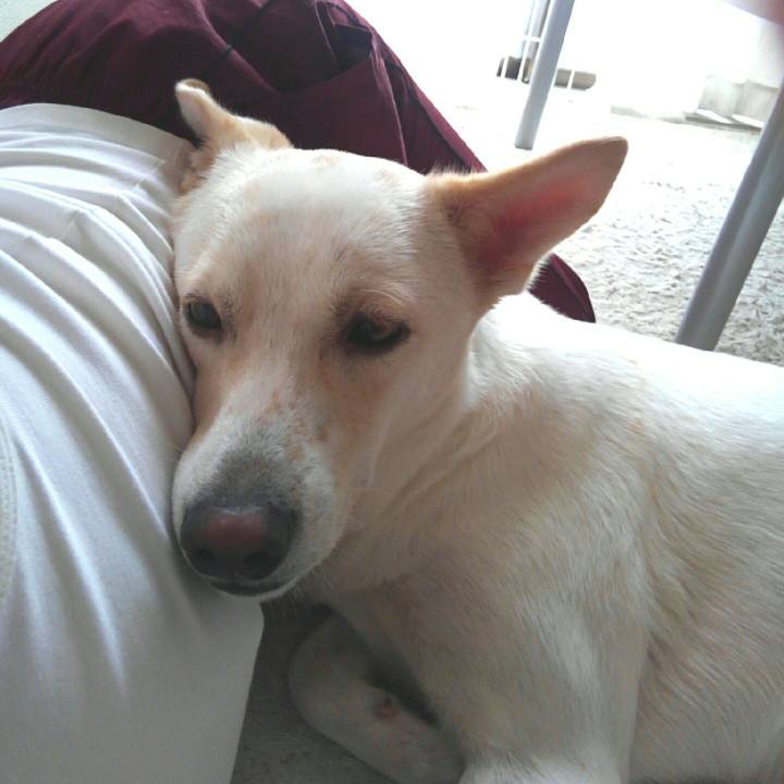 Bdf67e1a 0f1f 460f 87d5 02d271cb4dd2