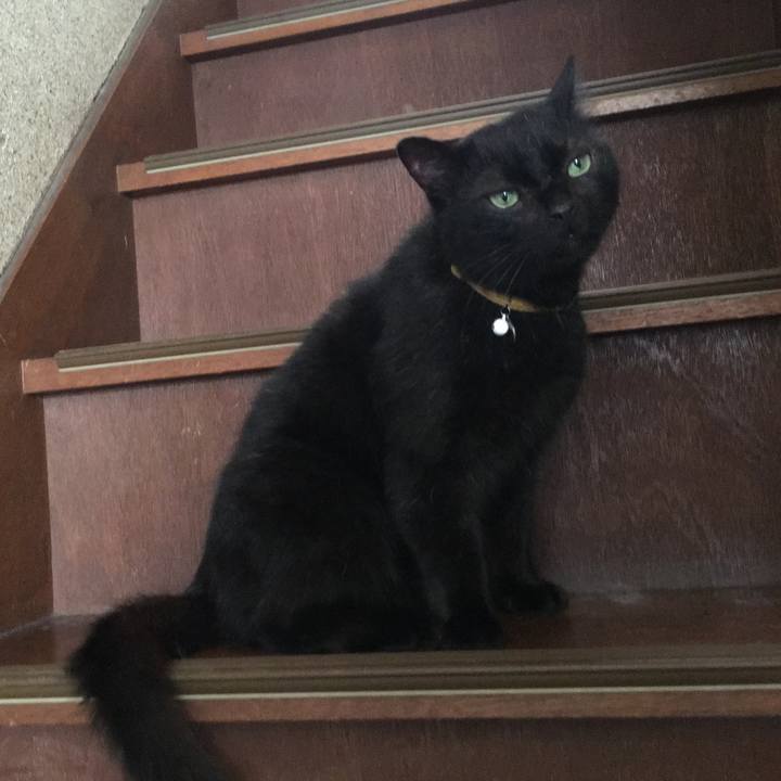 Bdf68b00 1b13 44cc 9bfe d37ab5d34911