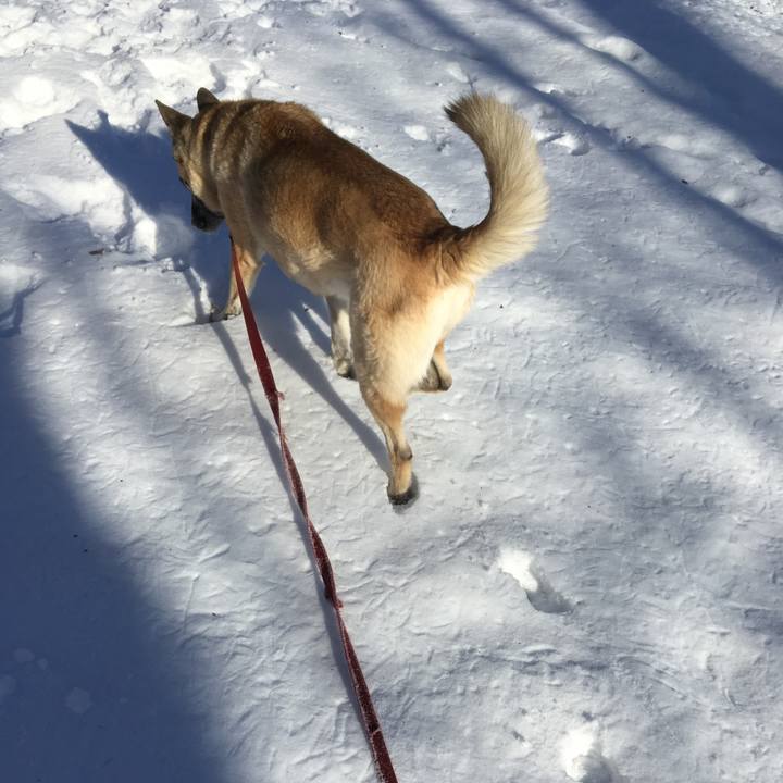 Bdf6f86d 1c20 46fe 8762 cdfe7a68701f