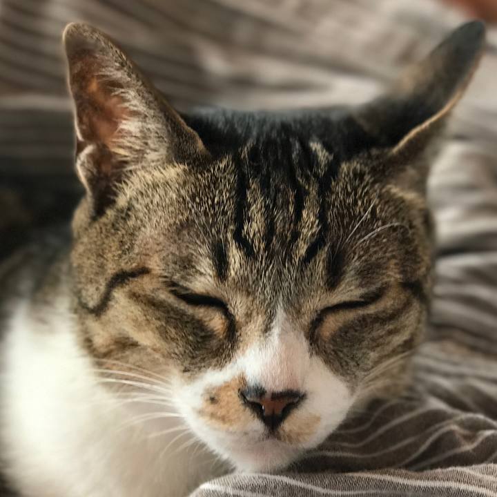 Bdf7339e 7725 4151 ab23 80ef216f6371