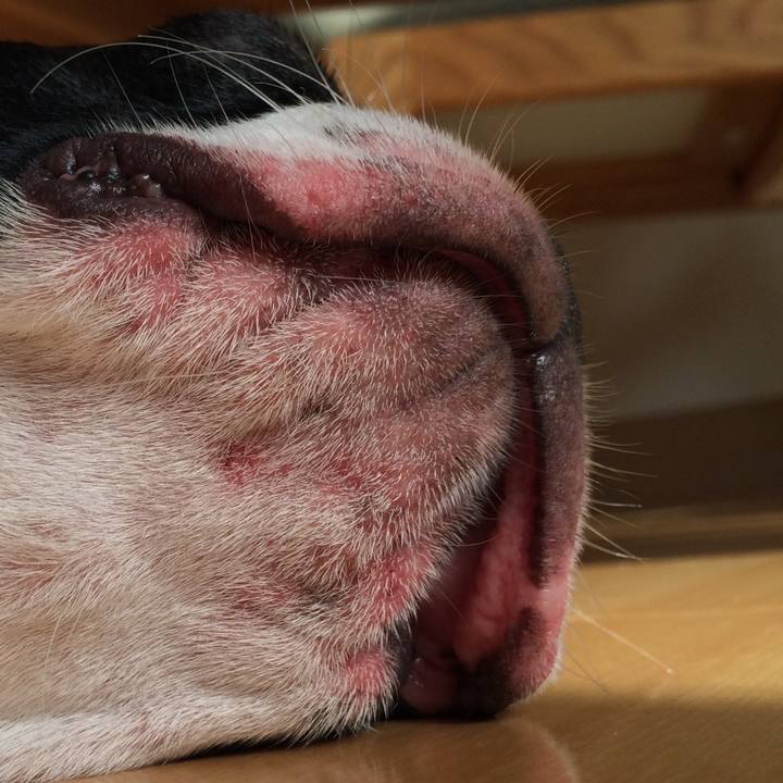 Bdf7403e 5d85 43eb a193 a95f068309c8