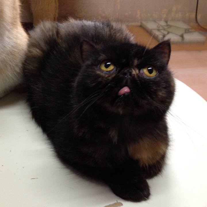 Bdf76af0 0c96 4c2b ab1a 8ae1db81aa33