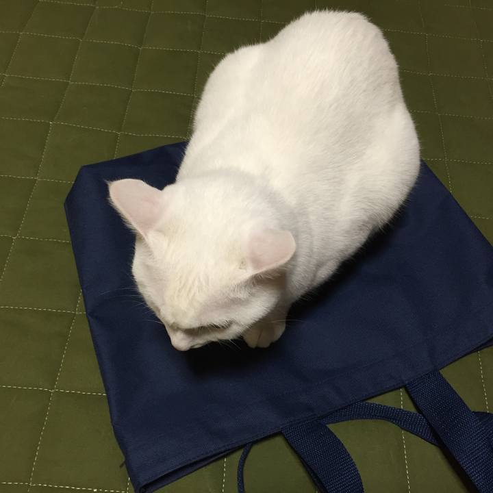 Bdf79bff 9bfd 4dc3 89fe b4059a1c1333