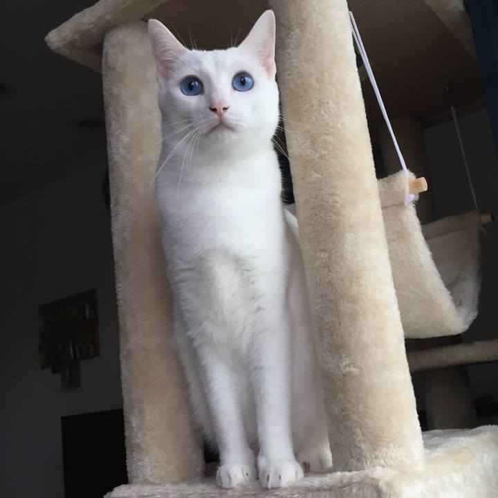 Bdf86253 daf1 4fd6 81fa ceb0308269be