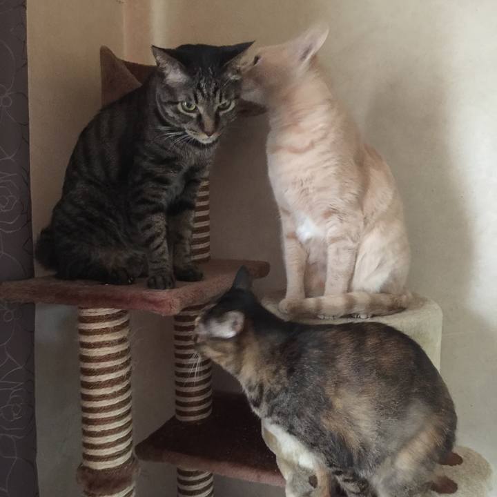 Bdf88ac2 16af 4b58 9a65 046b131d1b0f