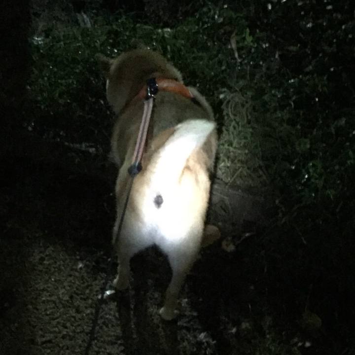 Bdf91b65 ea64 4fea b186 74d963ab966e