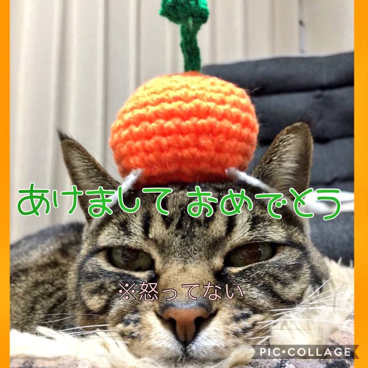 Bdf94c70 4ff4 4ca3 bfcb fa76411c56f8