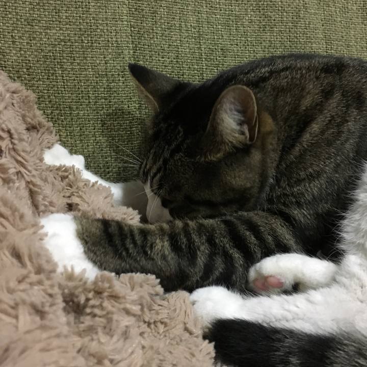 Bdf96f0b 8ad3 4826 94ec 9685dadcf32f