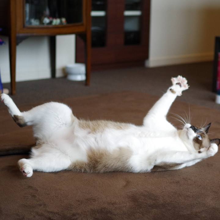 Bdf9fef8 186a 4e90 b511 00015f3520a1