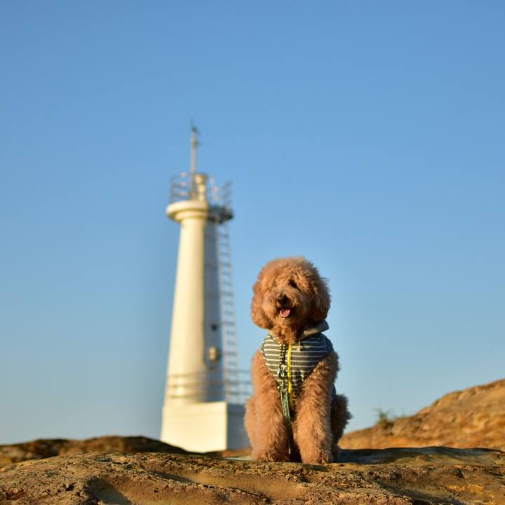 Bdf9ffab 5c1b 4868 b60a 60239316dd60