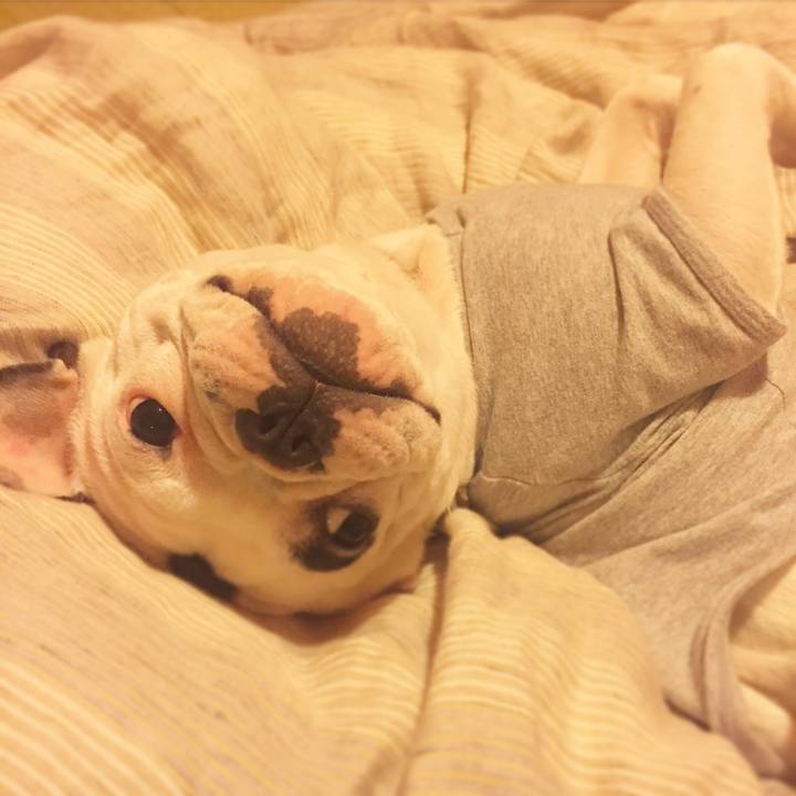 Bdfa826a c6ea 45bb a2b2 97ef943cfbde