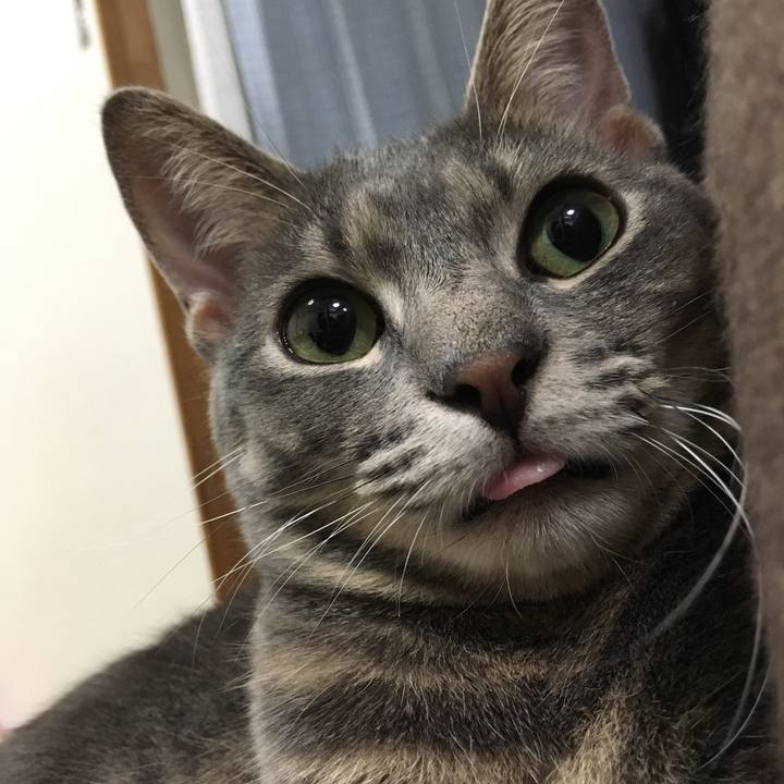 Bdfaa668 de28 4af2 beb0 0e4f68258903