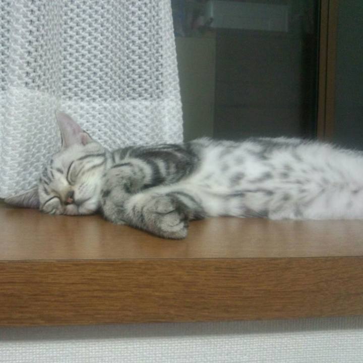 Bdfae64f a140 42ab 94a2 e2d07b594040