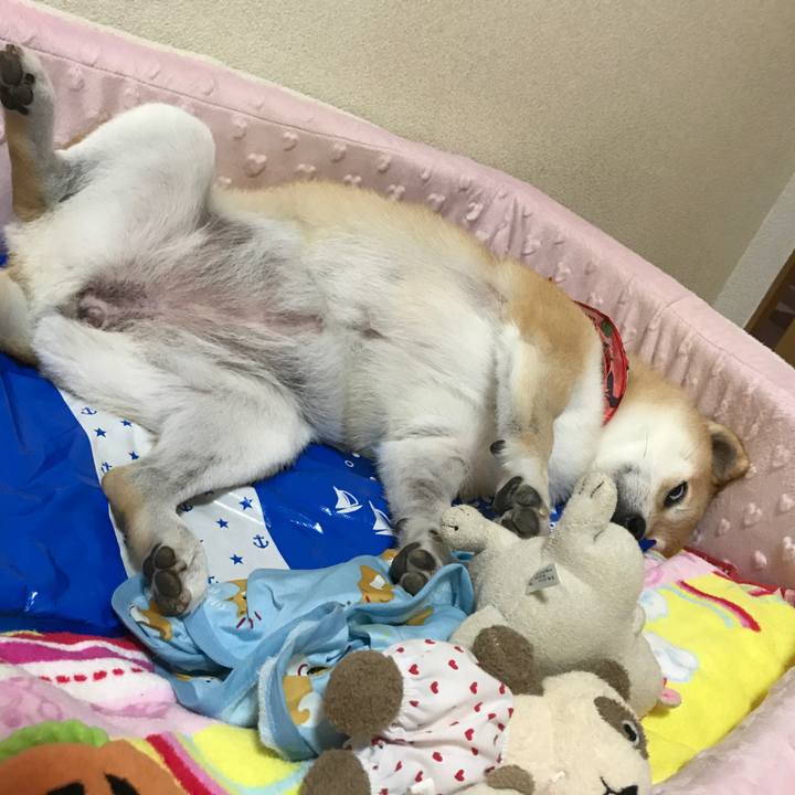 Bdfb0dad f729 4f7c 826e 8d98f3def47e