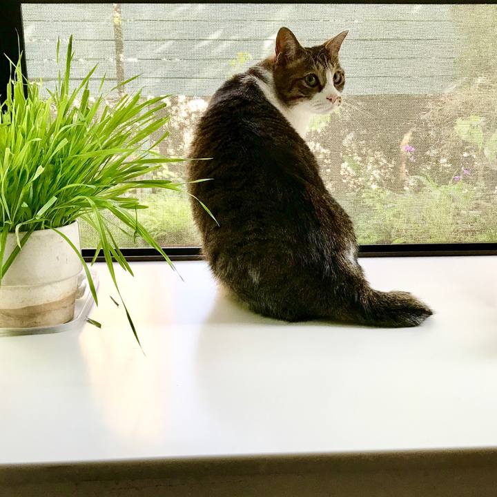 Bdfb1e2a f4bc 4a50 bd02 278b6ef2e893